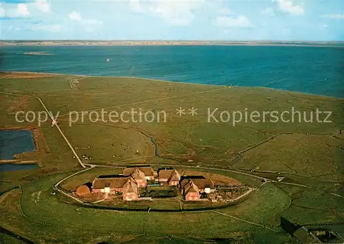 AK / Ansichtskarte Hallig_Groede Fliegeraufnahme Hallig Groede