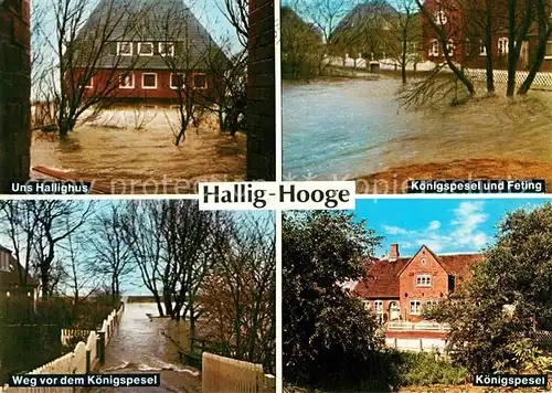 AK / Ansichtskarte Hallig_Hooge Koenigspesel Hallighus Sturmflut Hallig Hooge