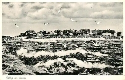 AK / Ansichtskarte Hallig_Hooge Sturm Hallig Hooge