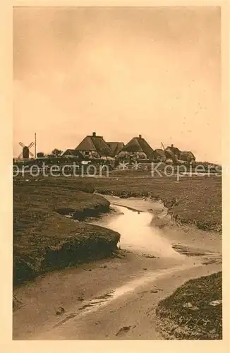 AK / Ansichtskarte Hallig_Hooge Middeltritt Windmuehle Hallig Hooge