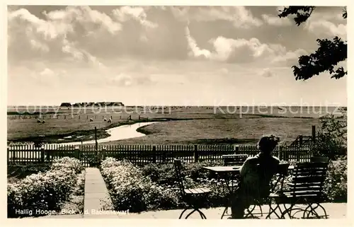 AK / Ansichtskarte Hallig_Hooge Hauswarf Panorama vom Backenswarf Hallig Hooge