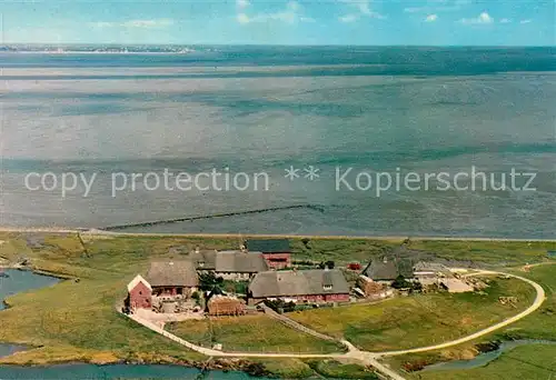 AK / Ansichtskarte Hallig_Langeness Maienswarft Fliegeraufnahme Hallig_Langeness