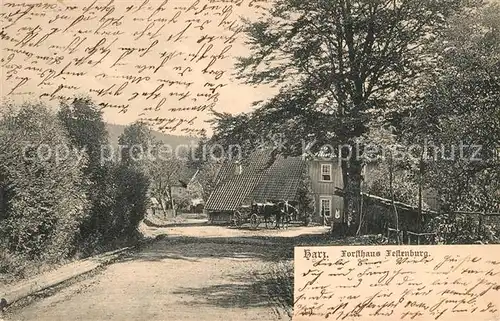 AK / Ansichtskarte Harz_Region Forsthaus Festenburg Harz Region