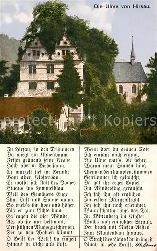 AK / Ansichtskarte Hirsau Die Ulme von Hirsau Kloster Hirsau