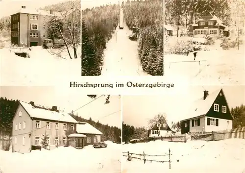 AK / Ansichtskarte Hirschsprung Teilansichten Wintersportplatz Handabzug Hirschsprung