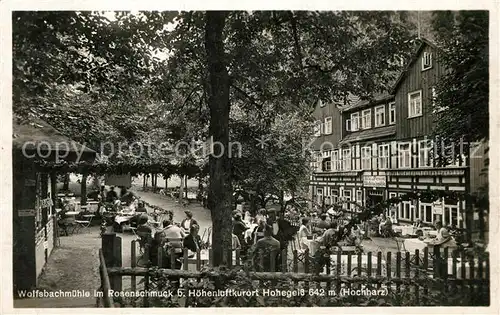 AK / Ansichtskarte Hohegeiss_Harz Wolfsbachmuehle im Rosenschmuck Hohegeiss Harz
