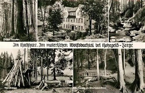 AK / Ansichtskarte Hohegeiss_Harz Dicke Tannen Wolfsbachmuehle Wolfsbach Harzkoeten Wolfsbachtal Hohegeiss Harz
