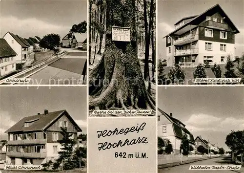 AK / Ansichtskarte Hohegeiss_Harz Dicke Tanne Hotel Berliner Baer Haus Sonneneck  Hohegeiss Harz