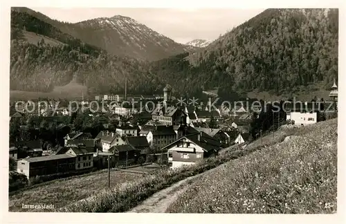AK / Ansichtskarte Immenstadt_Allgaeu mit Steineberg und Stuiben Immenstadt_Allgaeu
