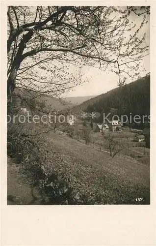 AK / Ansichtskarte Kipsdorf Ferienhaus Kipsdorf