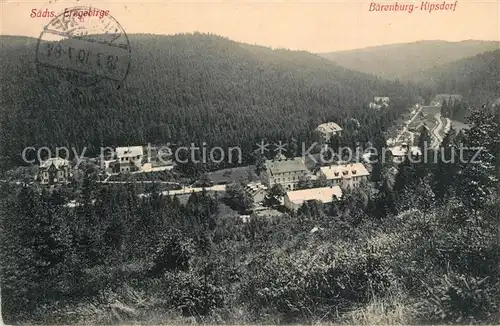 AK / Ansichtskarte Kipsdorf Baerenburg Kipsdorf