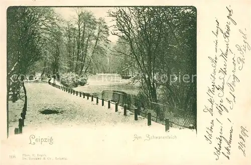 AK / Ansichtskarte Leipzig Schwanenteich Leipzig
