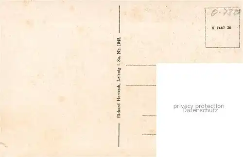 AK / Ansichtskarte Leisnig Panorama Leisnig