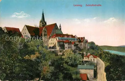 AK / Ansichtskarte Leisnig Schlosstrasse Leisnig