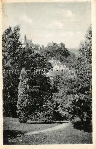 AK / Ansichtskarte Leisnig Panorama Leisnig