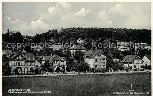 AK / Ansichtskarte Liebenburg Schaeferwiese Burgberg Schloss Erholungsheim Theresienstift Liebenburg