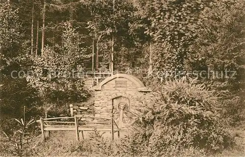 AK / Ansichtskarte Masserberg Werraquelle Masserberg