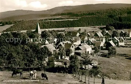 AK / Ansichtskarte Neuastenberg Panorama Neuastenberg