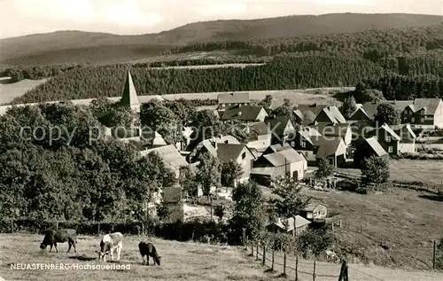 AK / Ansichtskarte Neuastenberg Ortsansicht Viehweide Neuastenberg