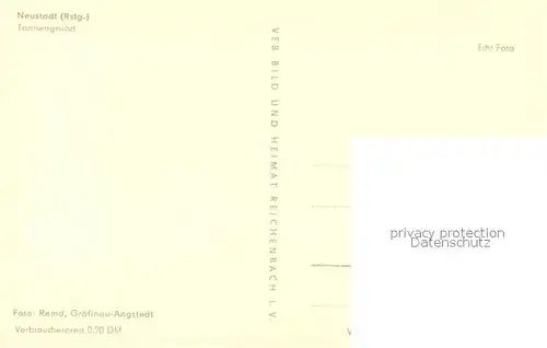 AK / Ansichtskarte Neustadt_Rennsteig Landschaftspanorama Tannengrund Neustadt_Rennsteig