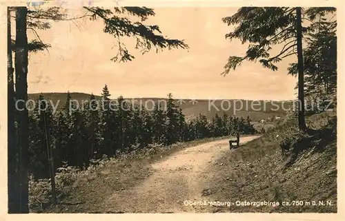 AK / Ansichtskarte Oberbaerenburg_Baerenburg Waldweg Landschaftspanorama Erzgebirge Oberbaerenburg Baerenburg