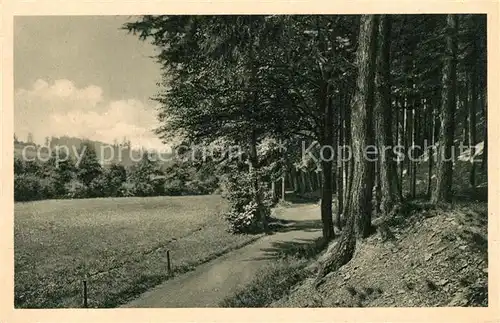 AK / Ansichtskarte Oberschlema_Erzgebirge Landschaftspanorama Poetenweg Wald Oberschlema_Erzgebirge