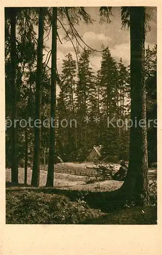AK / Ansichtskarte Oberschlema_Erzgebirge Naturtheater Freilichtbuehne Radiumbad Oberschlema_Erzgebirge