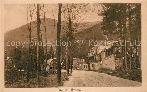 AK / Ansichtskarte Okertal Waldhaus Okertal