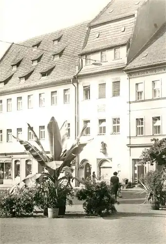 AK / Ansichtskarte Pirna Marktplatz Pirna