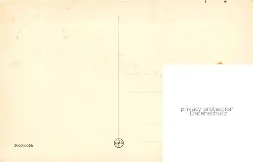 AK / Ansichtskarte Plessberg_Plesivec  