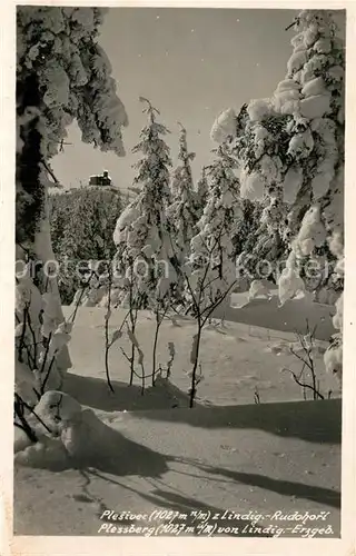 AK / Ansichtskarte Plessberg_Plesivec  