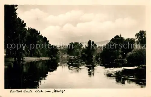 AK / Ansichtskarte Saalfeld_Saale Weidig Saalfeld_Saale