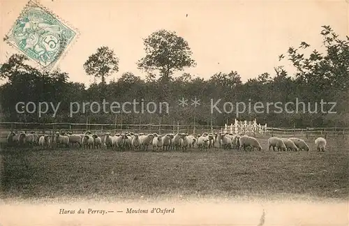AK / Ansichtskarte Schafe Haras du Perray Moutons d Oxford  