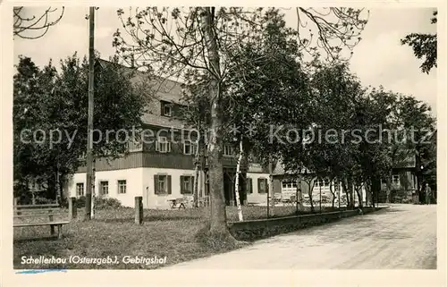 AK / Ansichtskarte Schellerhau Gebirgshof Schellerhau