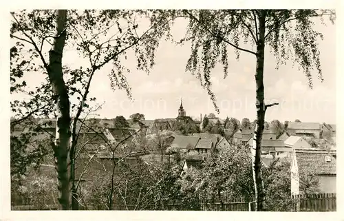 AK / Ansichtskarte Schmannewitz Dahlener Heide Panorama Schmannewitz