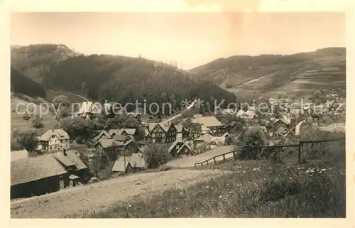 AK / Ansichtskarte Schoenbrunn_Schleusegrund Panorama Schoenbrunn_Schleusegrund