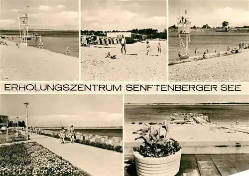 AK / Ansichtskarte Senftenberg_Niederlausitz Erholungszentrum Senftenberger See  Senftenberg_Niederlausitz