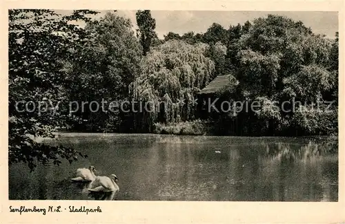 AK / Ansichtskarte Senftenberg_Niederlausitz Stadtpark Schwanenteich Senftenberg_Niederlausitz