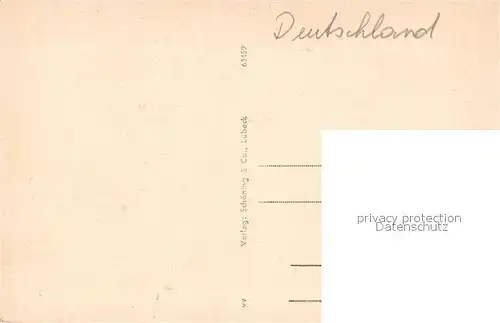 AK / Ansichtskarte Senftenberg_Niederlausitz Stadtpark Schwanenteich Senftenberg_Niederlausitz