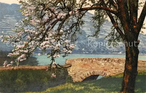 AK / Ansichtskarte St_Goar Partie am Rhein Steinbruecke Baumbluete Natur Photochromie Serie 120 Nr. 2418 St_Goar