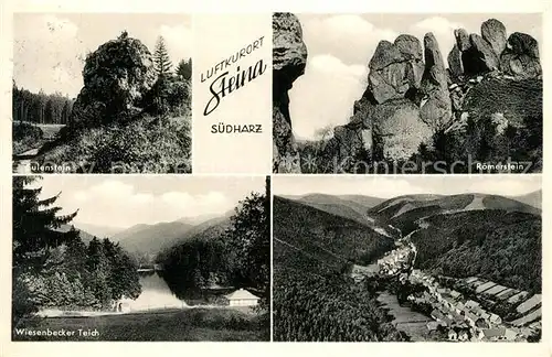 AK / Ansichtskarte Steina_Suedharz Roemerstein Wiesenbecker Teich Eulenstein  Steina Suedharz