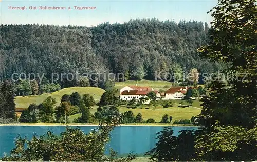Tegernsee Herzogliches Gut Kaltenbrunn Tegernsee