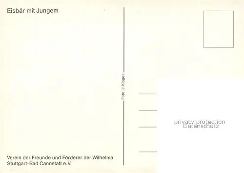 Tiere Eisbaer mit Jungem Wilhelma Stuttgart 