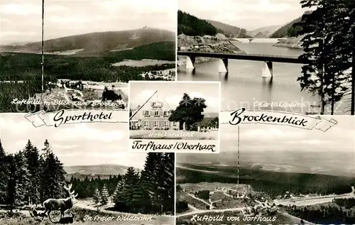 Torfhaus_Harz Fliegeraufnahme Okertalsperre Hirsche in freier Wildbahn Torfhaus Harz