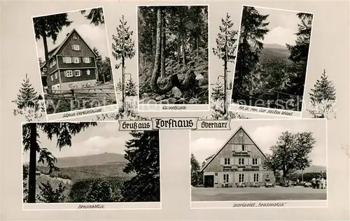 Torfhaus_Harz Alpen Vereinshuette Kamelfichte Steile Wand Brocken Sporthotel Brockenblick Torfhaus Harz