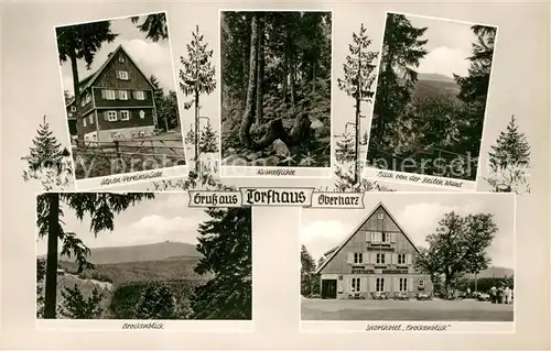 Torfhaus_Harz Alpen Vereinshuette Kamelfichte Brockenblick Sporthotel Torfhaus Harz
