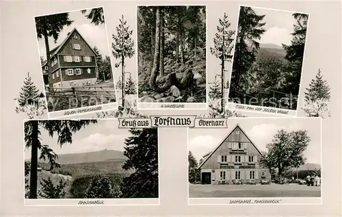Torfhaus_Harz Alpen Vereinshuette Kamelfichte Steile Wand Brockenblick Sporthotel Brockenblick Torfhaus Harz