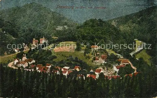 Treseburg_Harz Panorama Blick vom Rennsteig Treseburg Harz