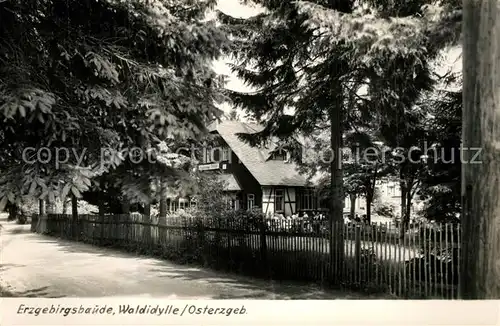 Waldidylle HO Fremdenhof Erzgebirgsbaude Handabzug Waldidylle