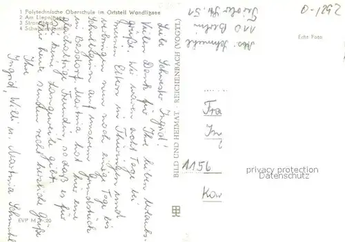 Wandlitz Polytechn Oberschule Am Liepnitzsee Schwanenfamilie Wandlitz